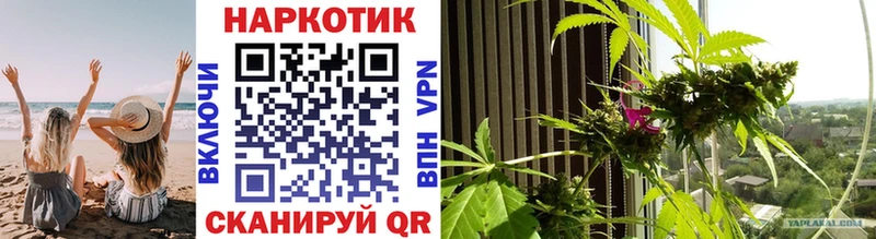 Где купить Шелехов Гашиш  АМФ  СОЛЬ  Меф  Cocaine  МАРИХУАНА 