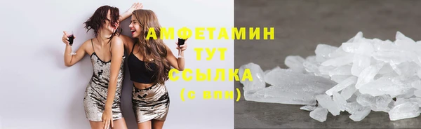 хмурый Пересвет