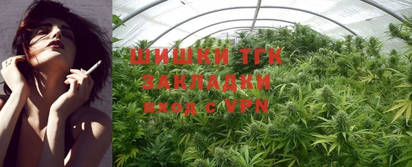 хмурый Пересвет