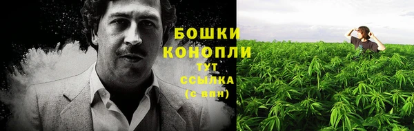 бутират Белокуриха