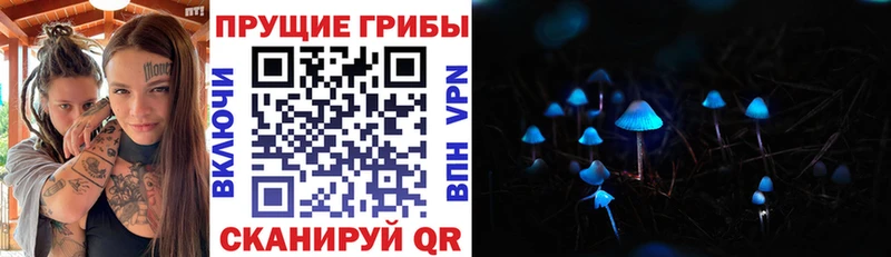 Галлюциногенные грибы MAGIC MUSHROOMS  кракен tor  Шелехов 